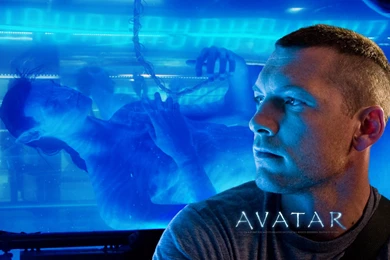 Amazing HD Wallpapers Of The 3D Epic Movie Avatar