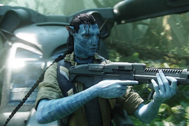 Avatar 2 (2014)