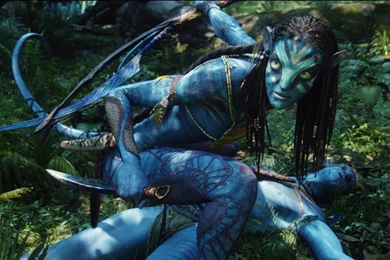 Avatar The Last Airbender