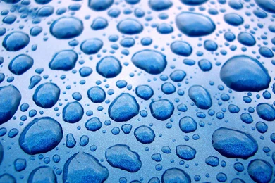 Wonderful Raindrop Full HD Wallpapers   All HD Wallpapers
