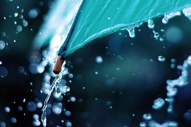 Rain Drops Over Umbrella HD Desktop Wallpapers : High Definition ...