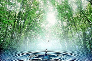 Wallpapers Desktop Nature Rain