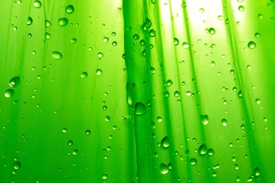 Wallpapers Minimal Green Raindrop High Resolution 1920x1080 ...
