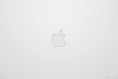 Download 1280x800 Aluminium Apple Wallpapers