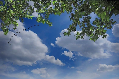 Wallpapers Hd By Khorian No 1