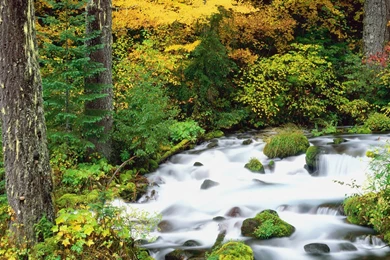 Beautiful World Landscape Wallpapers (Vol.1) 1280x1024 NO.6 ...