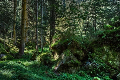 Wallpapers Hd By Khorian No 1