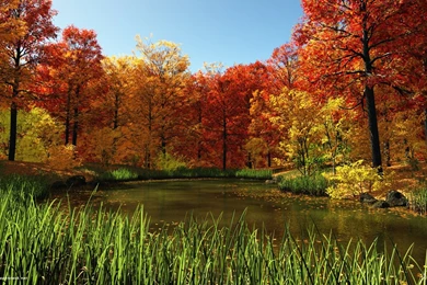 1680x1050 Fall Pond Desktop PC And Mac Wallpapers