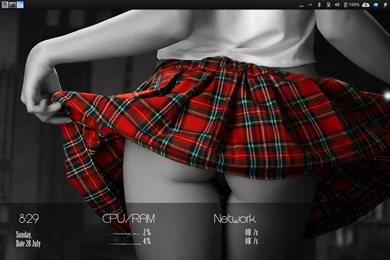 Eye Candy Girl. Conky And Wallpapers Included. By Speedracker On ...
