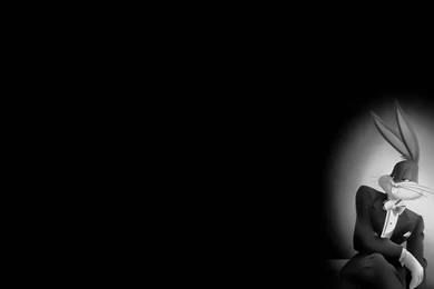 Cool Wallpapers, Free Hd Wallpapers, Widescreen Monitor, Stock ...