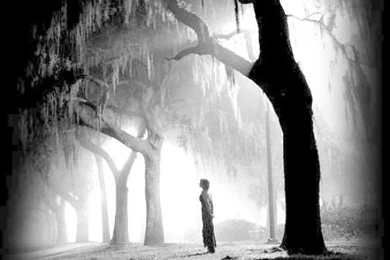 Leave Me Alone Wallpaper