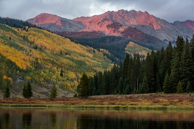 Wildlife At Piney River Ranch Colorado