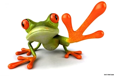 Funny Frog Pictures Wallpapers Free