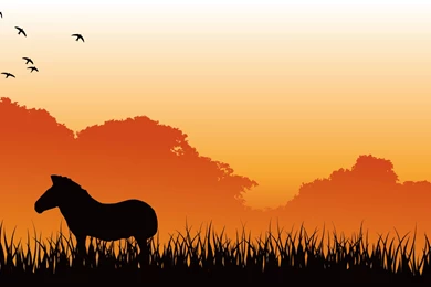 Wildlife Backgrounds   Wallpapers Zone