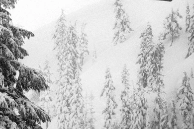 Snow Snowboarding Quiksilver Wallpapers