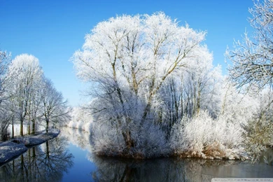 Winter Wonderland HD Desktop Wallpapers : Widescreen : High ...