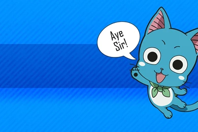 Fairy Tail Happy Wallpapers   Wallpapers Cave