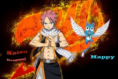 Fairy Tail Natsu Wallpapers   Wallpapers Cave
