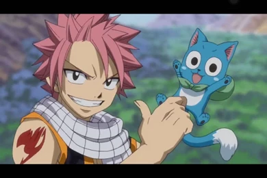 Read Fairy Tail & Soul Eater Pictures [Pt. 2]   Natsu And Happy ...