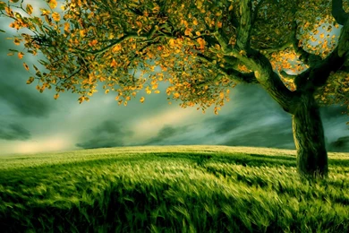 New Wallpapers Download Nature   HD Wallpapers Pretty