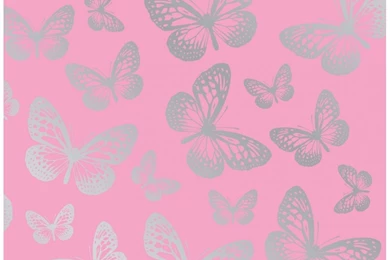 Bird And Butterfly Wallpapers From I Love Wallpapers