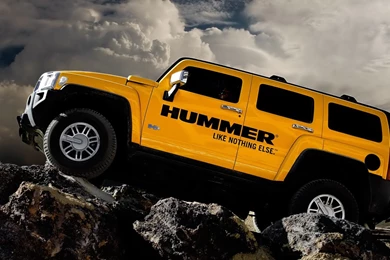 Hummer Beautiful Wallpapers Pictures