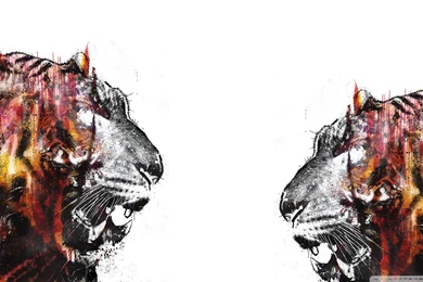 Download Tigers Art Wallpapers 1920x1080