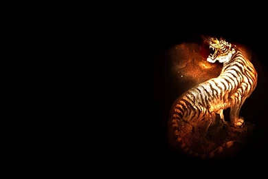 Tiger Desktop Wallpapers Black