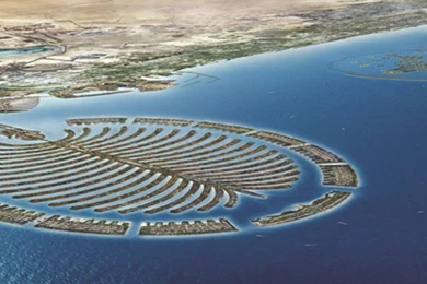 Palm Island   HD Cover Photos