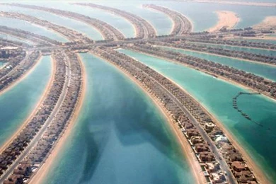 Dubai Palm Wallpapers