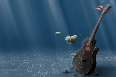 Underwater freedom wallpapers