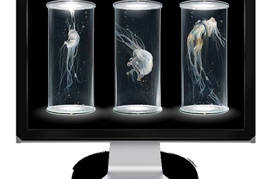 20 Awesome Wallpapers   TutorArt