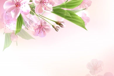 Awesome Spring Wallpapers • Elsoar