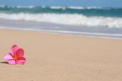 Top HD Sandy Beach Wallpapers