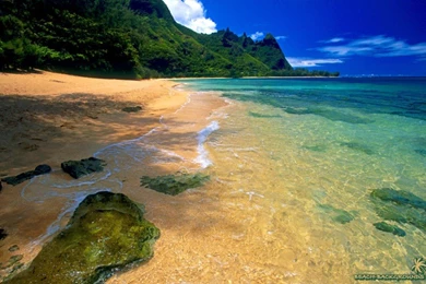 Sandy Beach Wallpapers