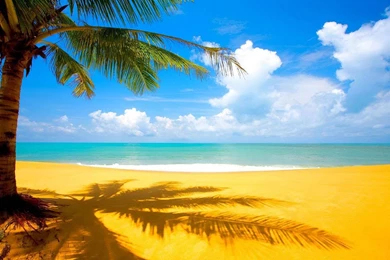 Sandy Beach Wallpapers HD   Android Apps On Google Play