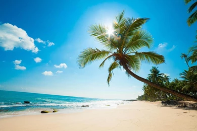 Sandy Beach Wallpapers HD   Android Apps On Google Play