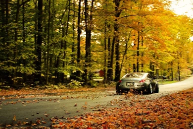 Nissan 350z Fallen Leaves Wallpapers
