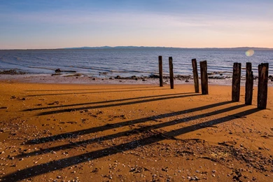 Backgrounds Wallpapers   Wood Pillars On The Sandy Beach   Wallpapers