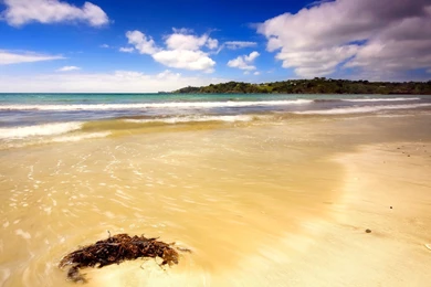 High Definition Beach Wallpapers   Wallpaper, High Definition, High ...