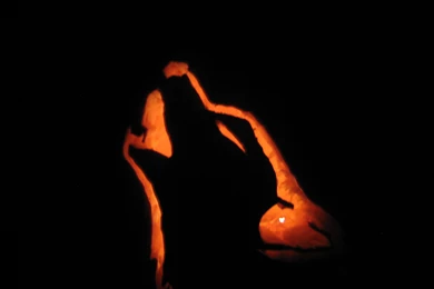 Dwelling & Telling: October 2010