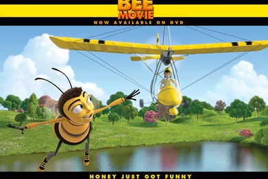 Bee Movie Wallpapers (1024 X 768 Pixels)