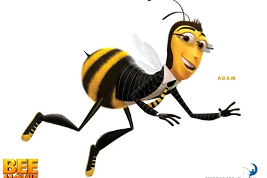31 Bee Movie Wallpaper Backgrounds   Desktop Wallpapers