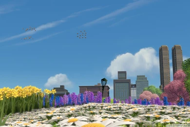 Bee Movie 5 Wallpapers Full HD [1920x1080]   Free Wallpapers Full Hd ...