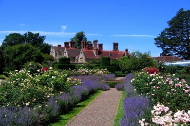 England   Photo Gallery