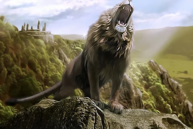 Lion And Tiger Pics Wallpapers 3d Hd Pictures.