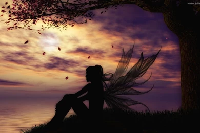 Fairies Wallpaper Backgrounds   Wallpapers Cave