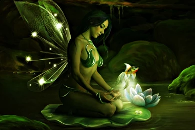 Fairy Desktop Wallpapers   Wallpapers Cave