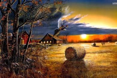 Farm Sunset, Bird, Pheasant, Barn, Bale, Hay, Digital art ...