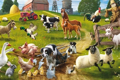 Farm Animals Wallpapers